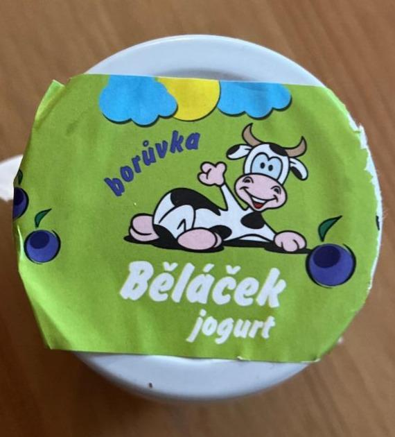 Fotografie - Běláček jogurt borůvka