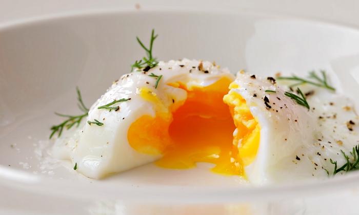 Fotografie - zastřené vejce