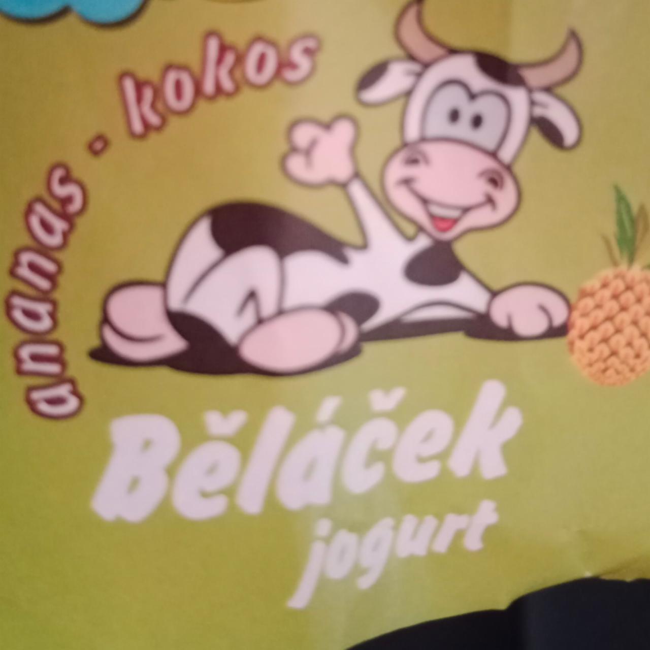 Fotografie - Běláček jogurt ananas-kokos ZD Jesenik