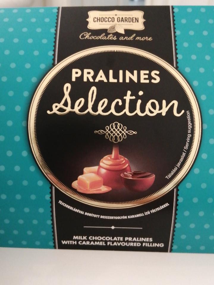 Fotografie - Pralines Selection Milk Chocolate Pralines with Caramel Chocco Garden