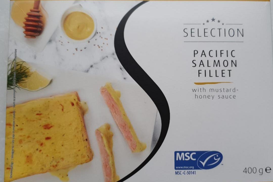 Fotografie - Pacific Salmon Fillet with mustard-honey sauce Selection