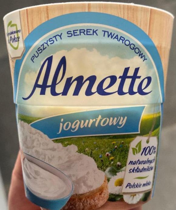 Fotografie - tvarohový sýr s jogurtem Almette