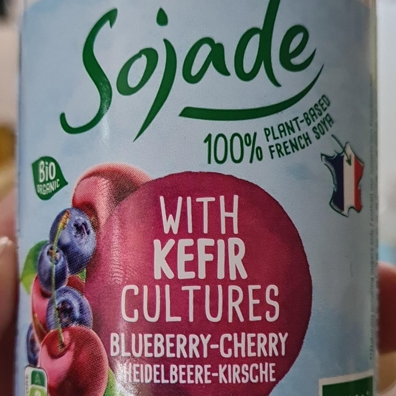 Fotografie - Blueberry-Cherry with kefir cultures Sojade