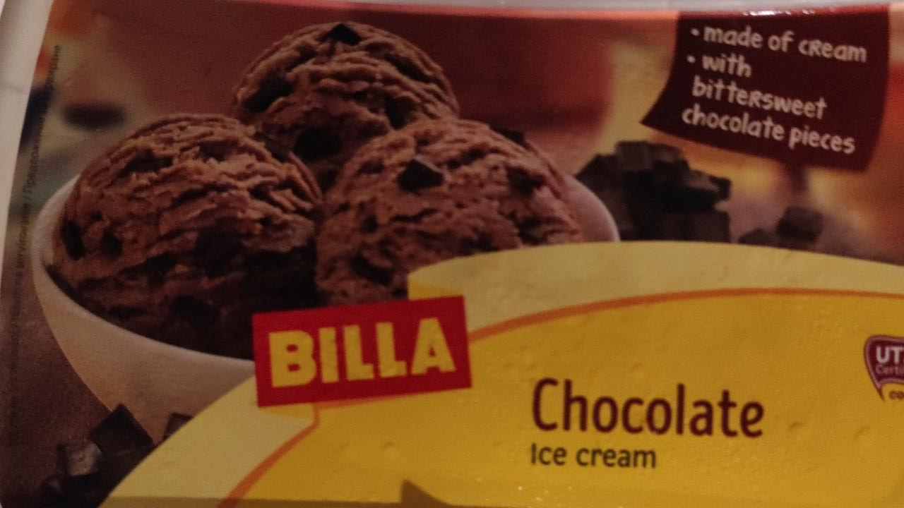 Fotografie - Chocolate Ice cream Billa