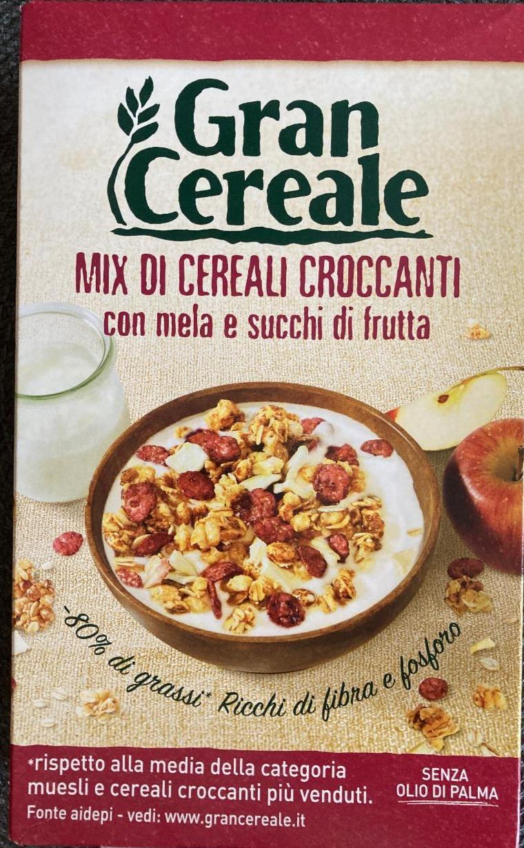 Fotografie - Mix Di Cereali Croccanti Con Mela e Succhi di Frutta Gran Cereale