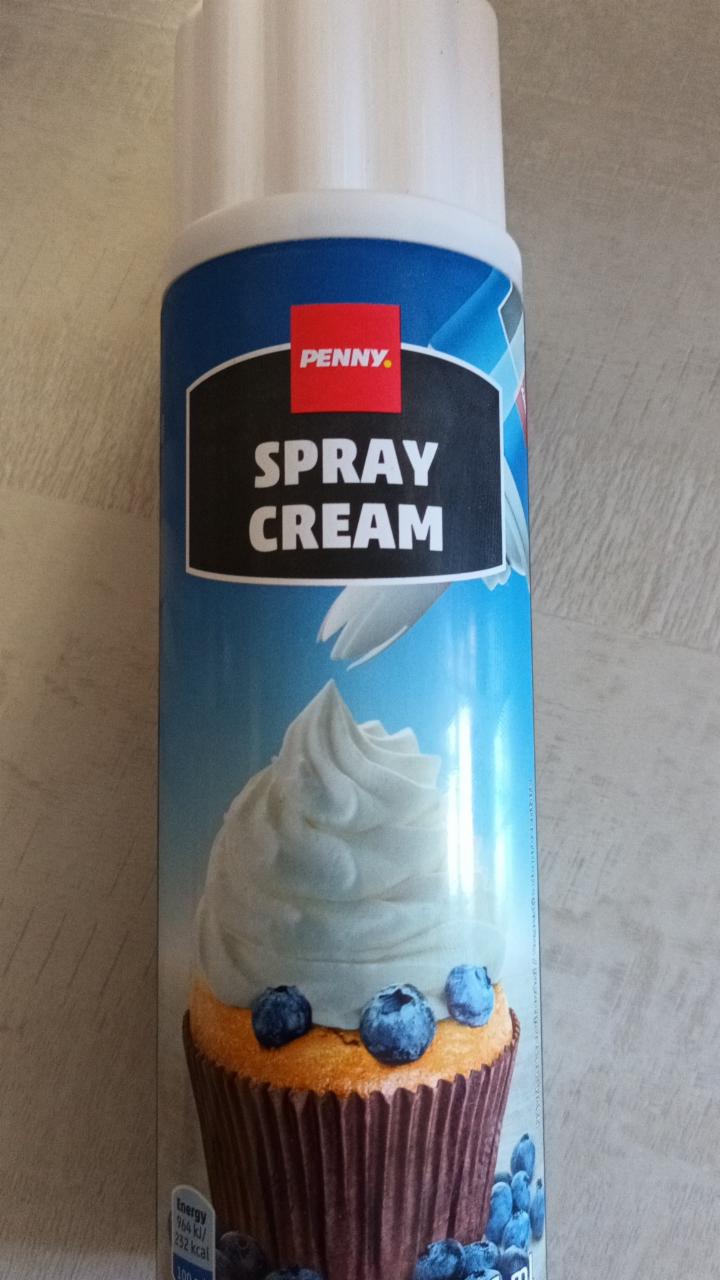 Fotografie - Spray cream (šlehačka ze smetany) Penny