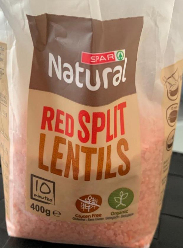 Fotografie - Red split Lentils Natural Spar