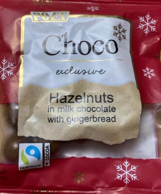 Fotografie - Choco exclusive Hazelnuts in milk chocolate with gingerbread Poex